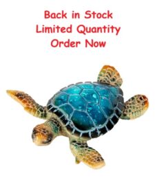 3 1/4 Inches Long Polystone Blue Turtle