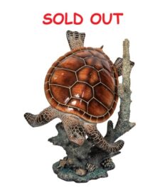 23 Inches High Jumbo Turtle and Coral