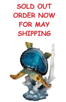 23 Inches High Jumbo Turtle And Coral