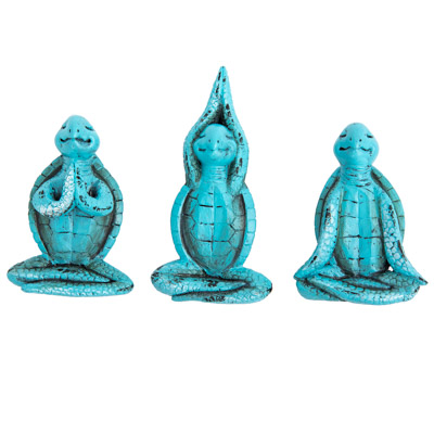 Assorted Yoga Turtle Magnet