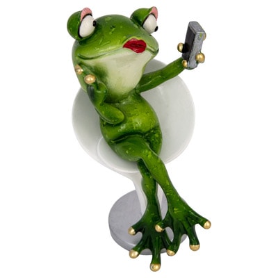 Lady Frog Taking a Selfie