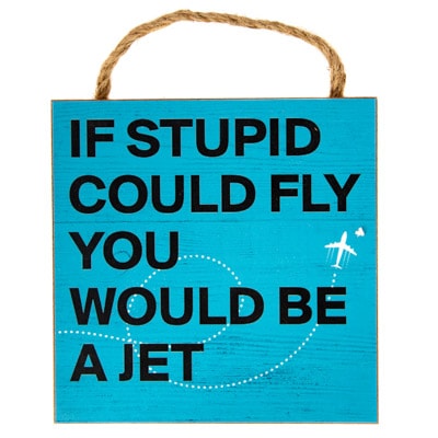 If Stupid Could Fly Sign