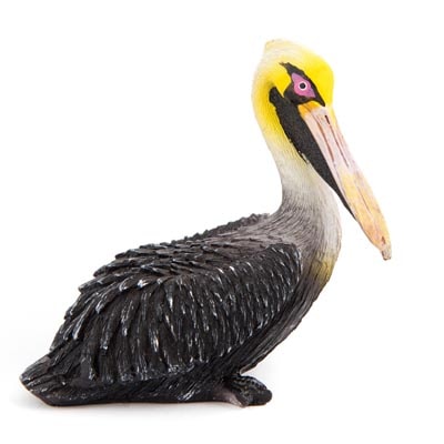 Sitting Brown Pelican