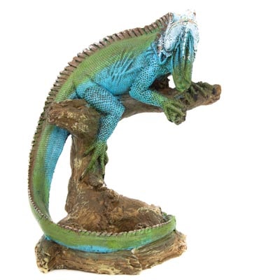 Iguana Bottle Holder