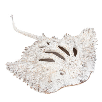 17 Inches Long Coral-Look Sting Ray