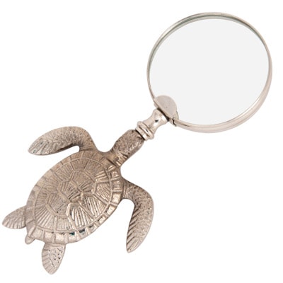 Sea Turtle Magnifier