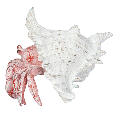 6 1/2 Inches Wide White-Washed Red Crab in Shell