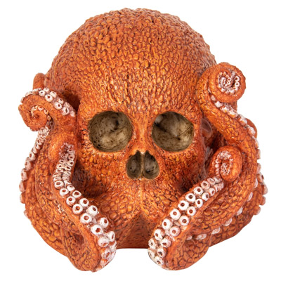6 Inches Wide Octopus Skull