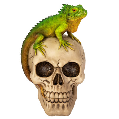 Skull With Iguana