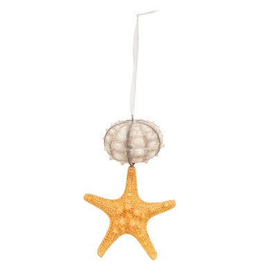 Sea Urchin Starfish Hanging Ornament