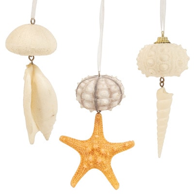 Assorted Sea Shells Hanging Ornament