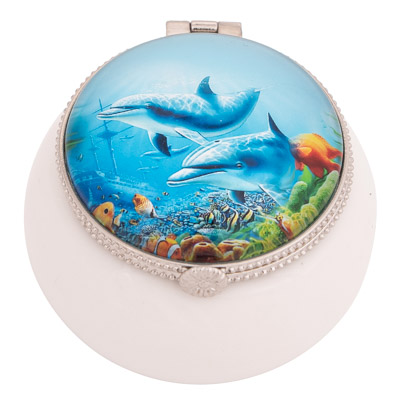 Dolphins Trinket Box