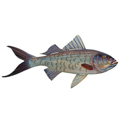 23 1/2 Inches Wide x 11 Inches High Metal Fish Wall Decor