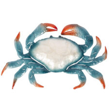 18 Inch Wide Decorative Metal Wall Crab