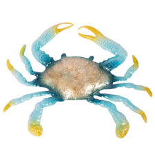 16 1/2 Inch Wide Decorative Metal Wall Crab