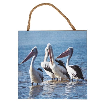 Pelican Wall Art