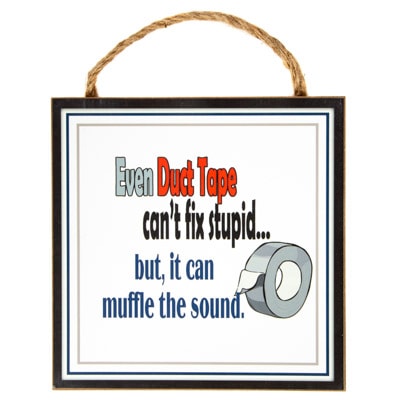 Can't Fix Stupid Sign