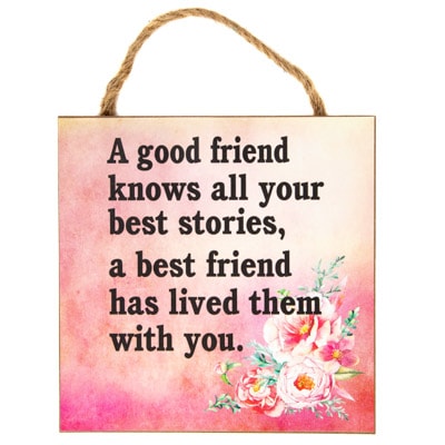 Good Friend Best Friend