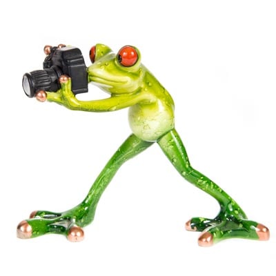 Frog Photographer Figurine
