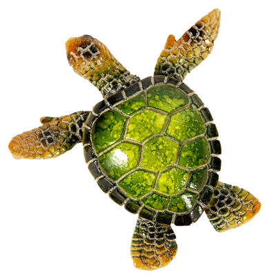 Polystone Green Turtle Magnet