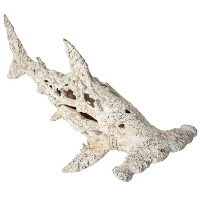 Coral Look Hammerhead Shark