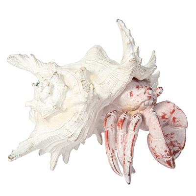 8 1/4 Inches Wide x 6 1/2 Inches High White-Washed Red Crab in Shell