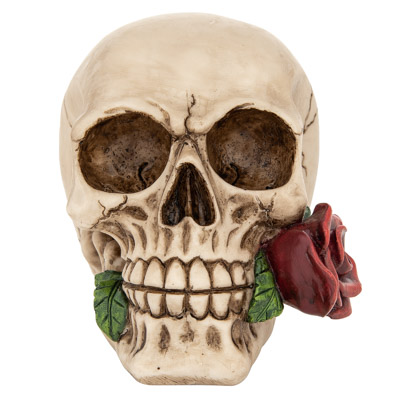 Skull with Rose in Mouth