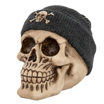 Skull with Knit Looking Cap