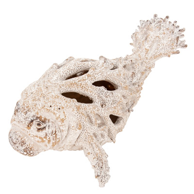 14 Inches Long Coral Look Manatee