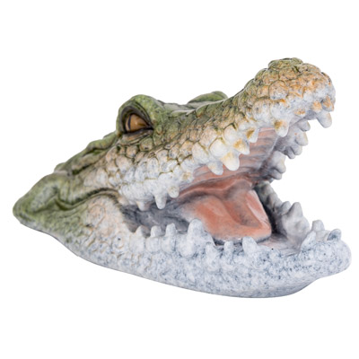 8 Inch Long Alligator Head