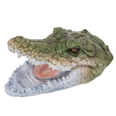 11 1/4 Inch Long Alligator Head