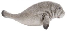 14 Inches Long Grey Manatee Figurine