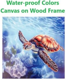 19 3/4 Inches Square Assortment Of Two Turtle Water-Proof Color Canvas Print Wall Art