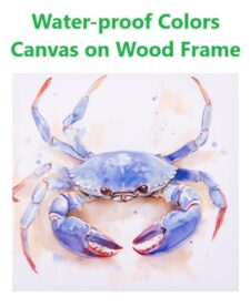 19 3/4 Inches Square Assortment Of Two Crab Water-Proof Color Canvas Print Wall Art