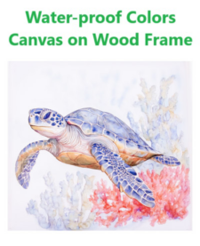 19 3/4 Inches Square Assortment Of Three Turtle Water-Proof Color Canvas Print Wall Art