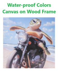 23 1/2 Inches Square Assortment Of Two Motorcycle Turtle Water-Proof Color Canvas Wall Decor