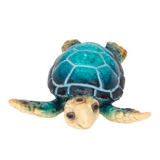 3 Inches Long Polystone Blue Turtle Magnet