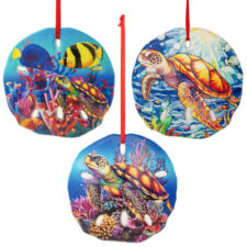 Assorted Sand Dollar Hanging Ornament