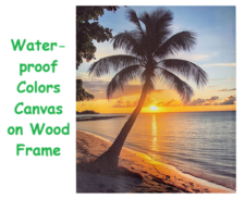 23 1/2 Inches x 19 3/4 Inches Assortment Of Three Palms Sunset Water-Proof Color Canvas Print Wall Art